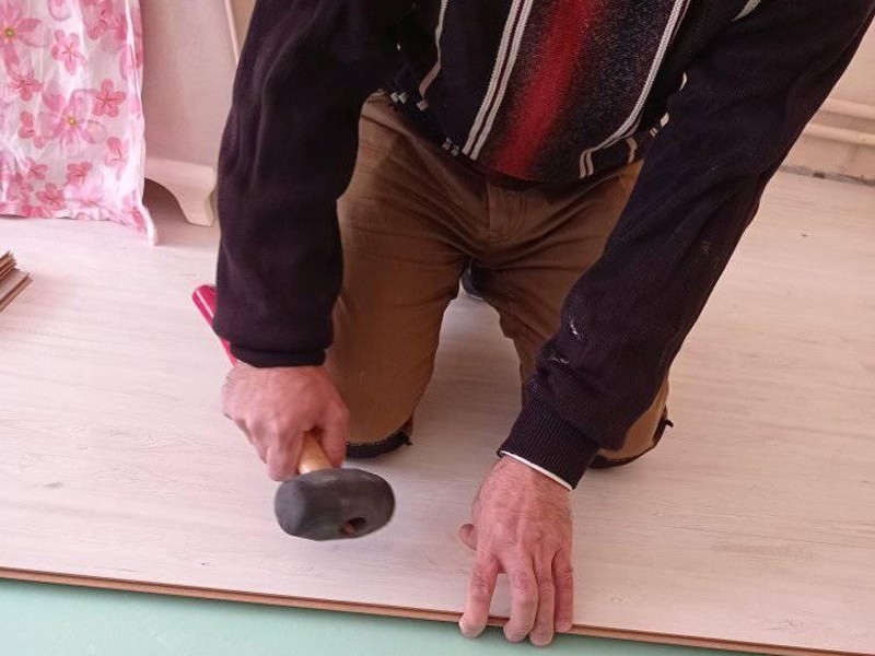 Koleksiyon Görseli