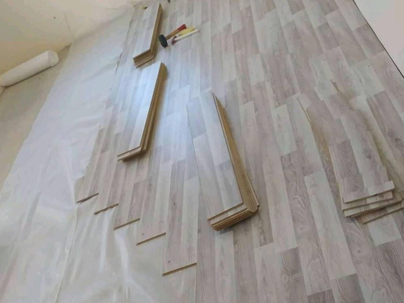 Koleksiyon Görseli